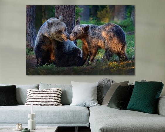 Aperçu de la chambre