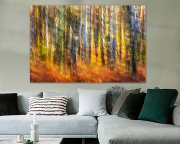 fiery birch forest by Daniela Beyer