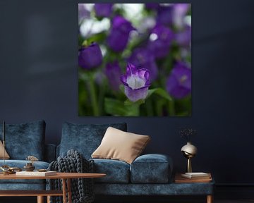paarse bloemen van Karin Keesmaat Kijk-Kunst