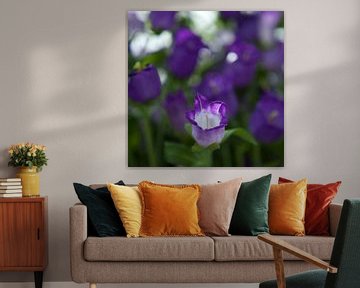 paarse bloemen van Karin Keesmaat Kijk-Kunst