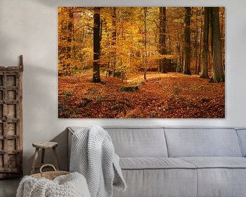 Zonnestralen in de herfstig bos by Jan Nuboer