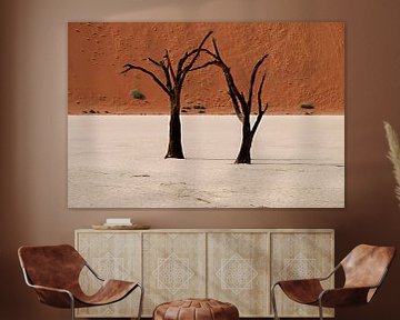 Bomen in Namibië von Roel Boom
