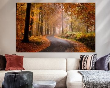 Belgie - Zonnebeke - Herfstplaatje in het heuvelland