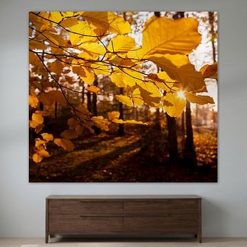 herfstkleuren van Carina Meijer ÇaVa Fotografie