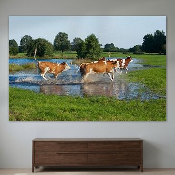 Glückliche Kühe im Frühlingsfieber von Wim van der Ende