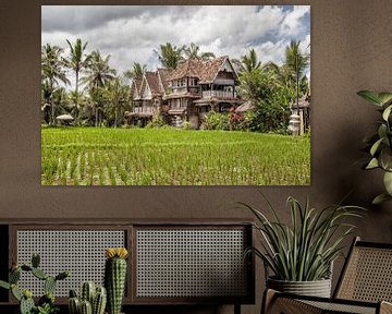 Rijstvelden op Bali - Ubud - Indonesie van Dries van Assen