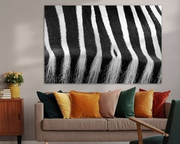Abstracte close up van een zebra van Heino Minnema