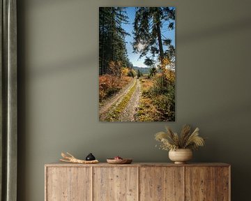 Hiking in the Ardennen by Ton Tolboom