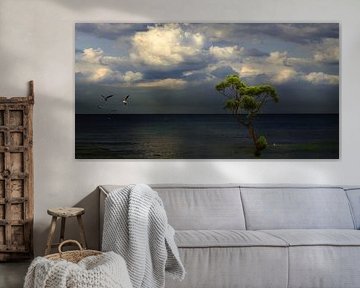 De Horizon