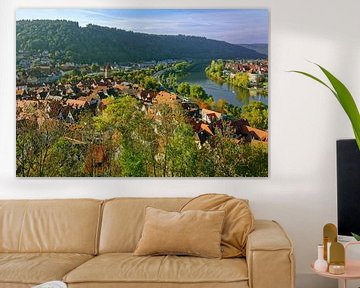 View of Wertheim by Gisela Scheffbuch