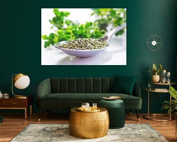 Kitchen herbs fresh oregano by Tanja Riedel