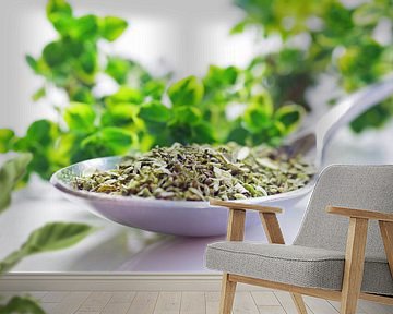 Kitchen herbs fresh oregano by Tanja Riedel