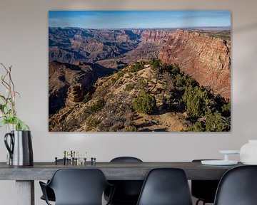 Vue du désert du Grand Canyon von Richard van der Woude