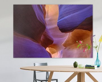 Kleurrijk Lower Antelope Canyon van Richard van der Woude