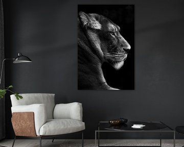 portrait d'une lionne, en noir et blanc sur Heino Minnema