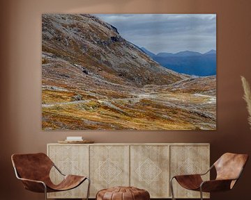 Road at Norway in autumn by Menno Schaefer