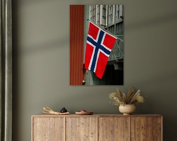 De vlag van Noorwegen van Menno Schaefer