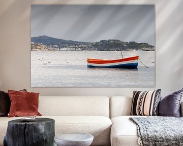 Boat in Dutch colours by Menno Schaefer