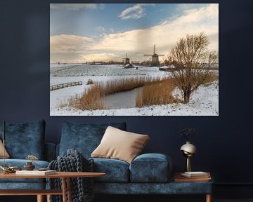 Nederlands winterbeeld van Menno Schaefer