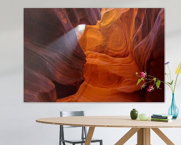 Antelope Canyon von Richard van der Woude