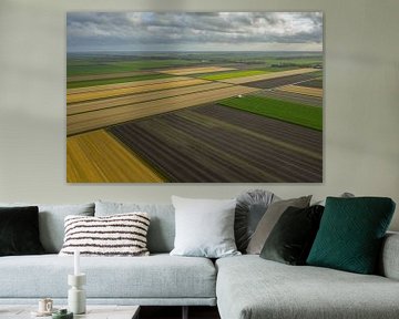 Paysage de polders néerlandais sur Menno Schaefer