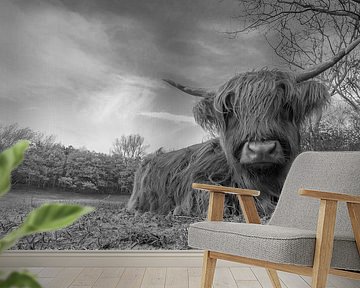 Schottische Highlander in Schwarz-Weiß von Menno Schaefer