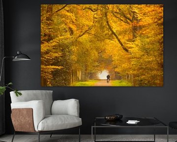 Autumn Avenue by Anneke Hooijer
