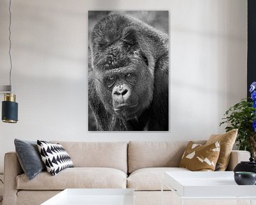 Angry Gorilla SIlverback by Dalex Photography