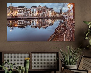 Beautiful Leiden! by Dirk van Egmond