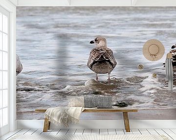 Three seagulls by the sea by Remke Spijkers