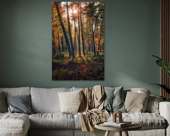 Aperçu de la chambre