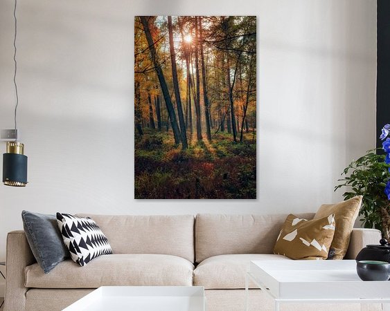 Aperçu de la chambre