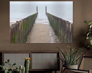 paalhoofden strand Dishoek van Petra De Jonge