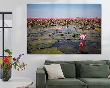 Red water lilies sur Anneke Hooijer