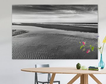 het strand van Rottumeroog, het onbewoonde waddeneiland von Hans de Waay