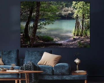 Blauwe Meer van Malissa van den Bosch