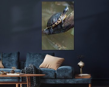 Schildpad met reflectie. van Anjo ten Kate