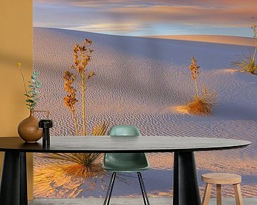 Soaptree yuccas in White Sands National Park by Henk Meijer Photography