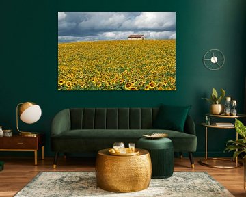 Feld mit Sonnenblumen von Art by Fokje