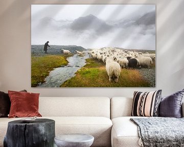 Schwarznase schapen Zermatt van Menno Boermans