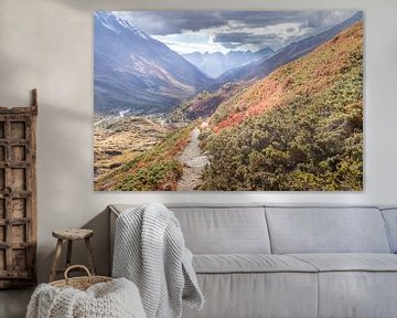 Herfstkleuren met Jacobsladder in het Lötschental. van Ad Van Koppen Fotografie