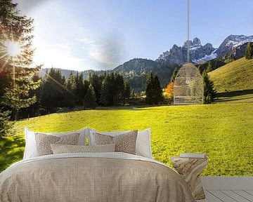 Sunny Mountain Meadow by Coen Weesjes