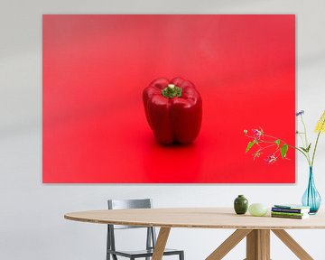 Rode paprika op rode achtergrond van Wim Stolwerk