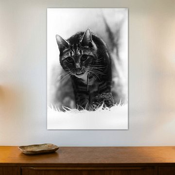 On a bed of roses...