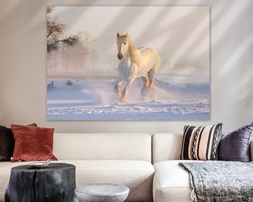 Wit paard van Judith Robben