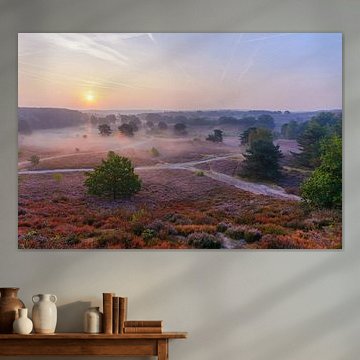 Brunssummerheide op z'n mooist! van Remco Van Daalen