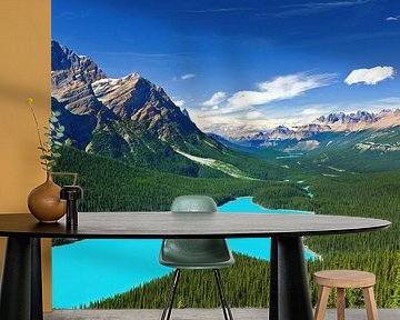 Peyto Lake in Banff N.P, Alberta, Canada by Henk Meijer Photography