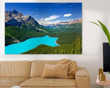 Lac Peyto à Banff N.P., Alberta, Canada sur Henk Meijer Photography