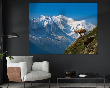 Steinbock und Mont Blanc von Menno Boermans