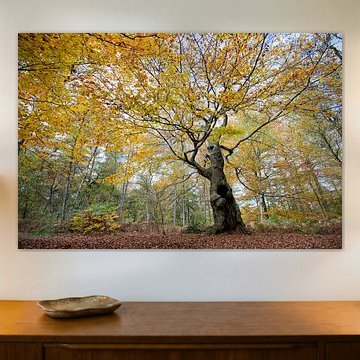 Baum des Lebens (compositie 2)